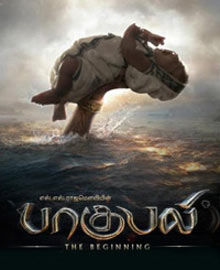 【永久破解版】无需注册的如何攻击网站